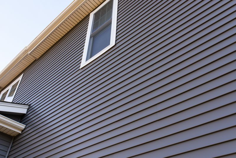 Stylish Siding Options